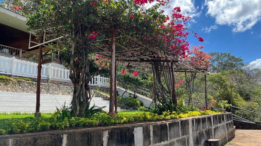 Vulcano Ecovista Nindirí Exterior photo